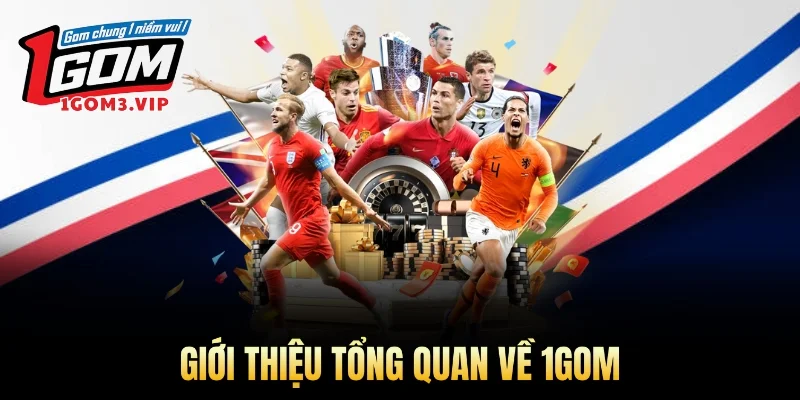 Giới thiệu tổng quan về 1Gom