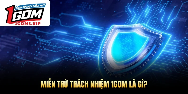 Miễn trừ trách nhiệm 1Gom là gì?