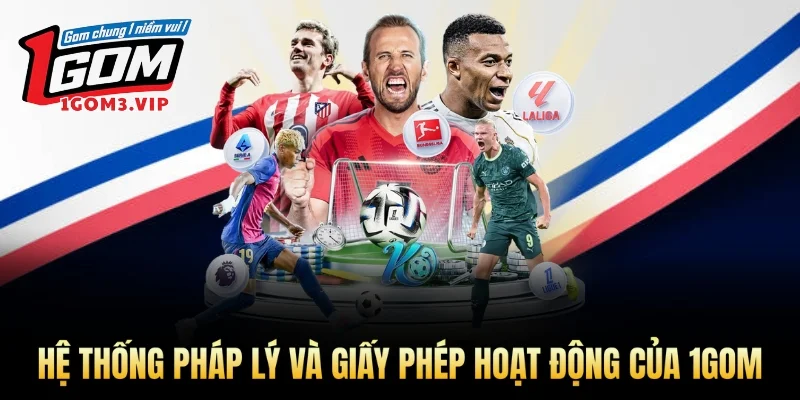 Hệ thống pháp lý và giấy phép hoạt động của 1Gom