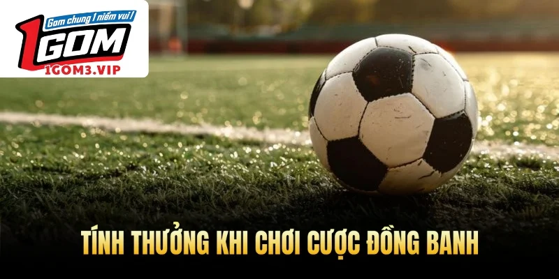 Tính thưởng khi chơi cược đồng banh