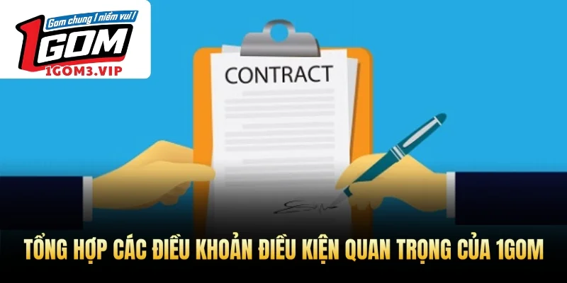 Tổng hợp các điều khoản điều kiện quan trọng của 1Gom